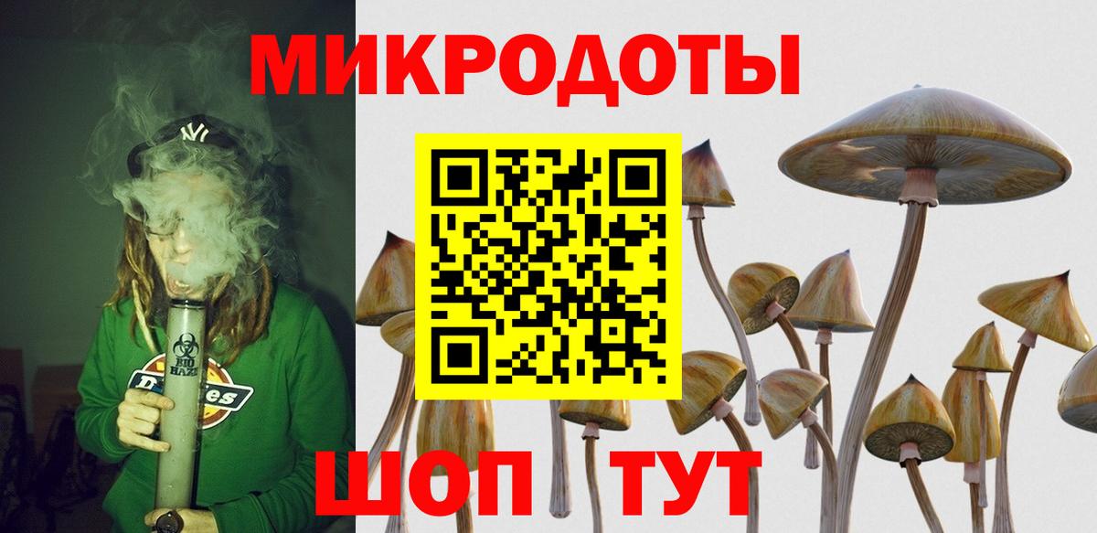 Донецк  Псилоцибиновые грибы GOLDEN TEACHER  Вход с VPN 