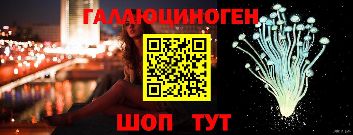 Псилоцибиновые грибы мицелий Донецк
